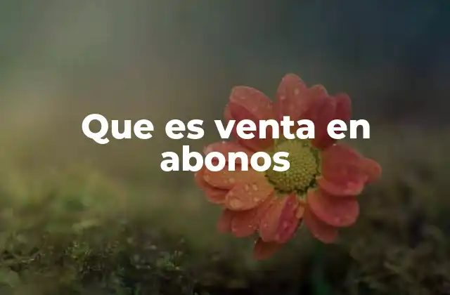 Que es Venta en Abonos 2 Cómo funciona la venta por abonos