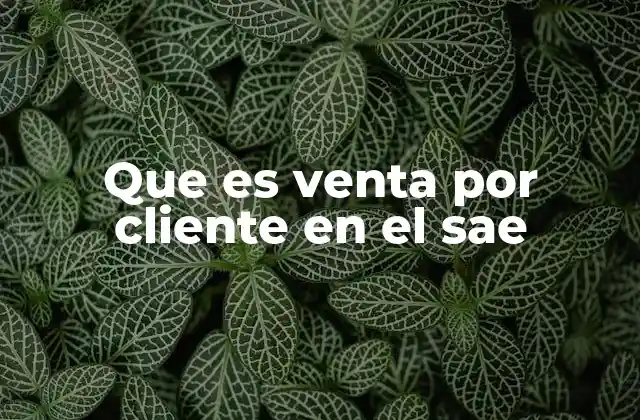 Que es Venta por Cliente en el Sae