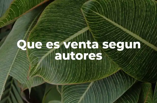 Que es Venta Segun Autores 2 La venta como proceso de interacción entre cliente y vendedor
