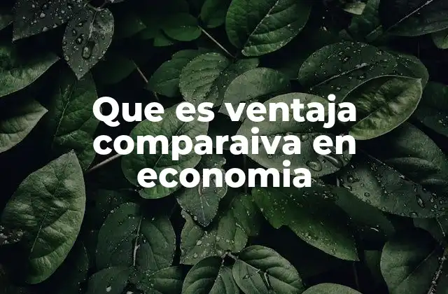 Que es Ventaja Comparaiva en Economia