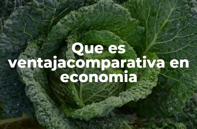 Que es Ventajacomparativa en Economia