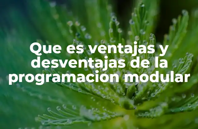 Que es Ventajas y Desventajas de la Programacion Modular 2 Cómo la programación modular mejora la calidad del software