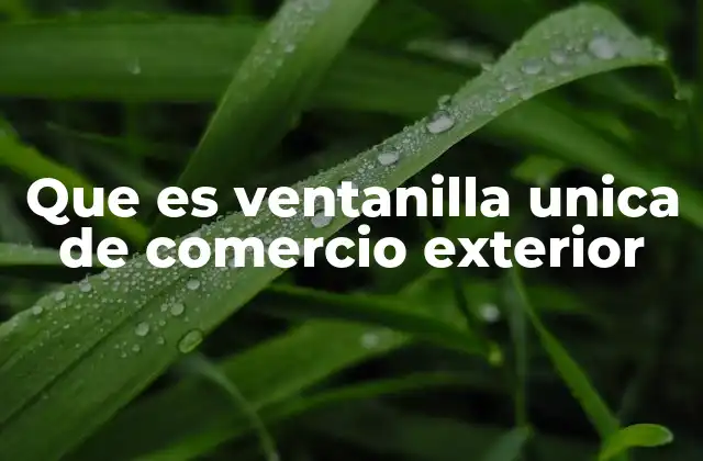 Que es Ventanilla Unica de Comercio Exterior