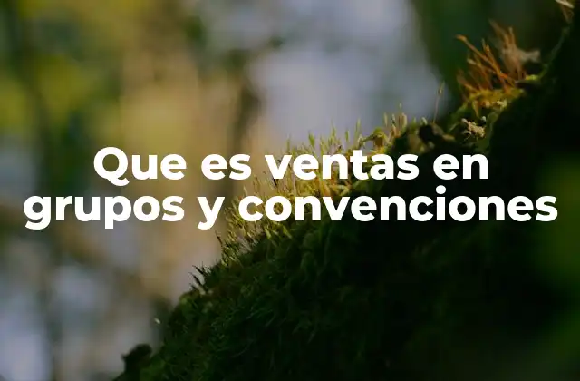 Que es Ventas en Grupos y Convenciones