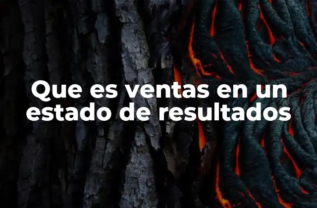 Que es Ventas en un Estado de Resultados 2 La importancia de las ventas en la salud financiera de una empresa