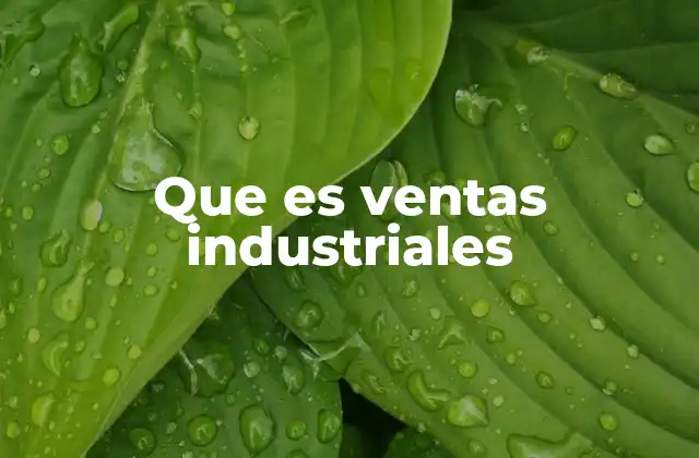 Que es Ventas Industriales
