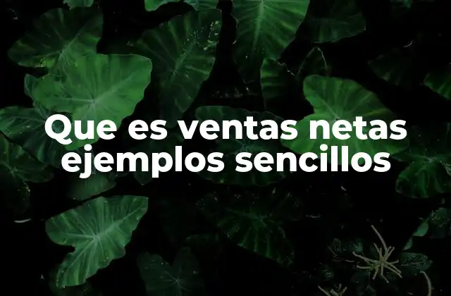 Que es Ventas Netas Ejemplos Sencillos