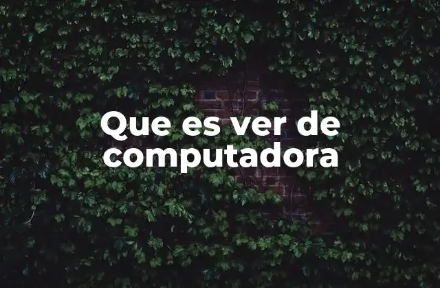 Que es Ver de Computadora