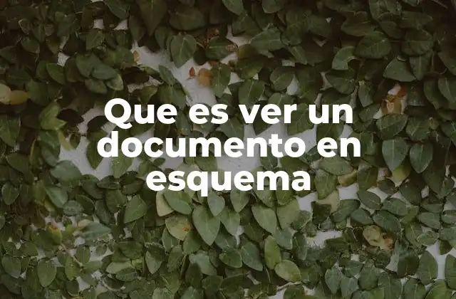Que es Ver un Documento en Esquema