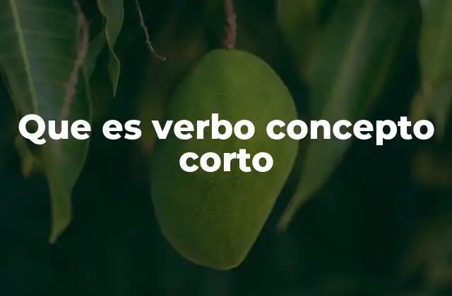 Que es Verbo Concepto Corto 2 El papel del verbo en la construcción de oraciones