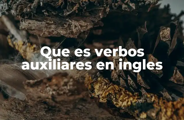 Que es Verbos Auxiliares en Ingles