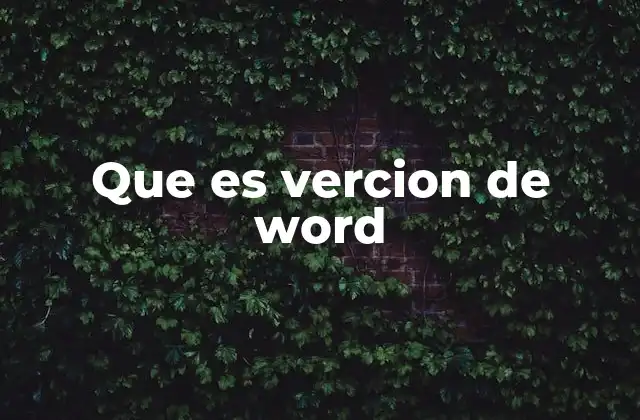Que es Vercion de Word