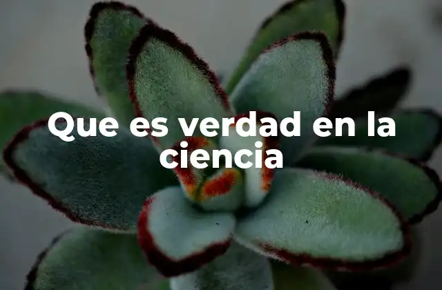 Que es Verdad en la Ciencia