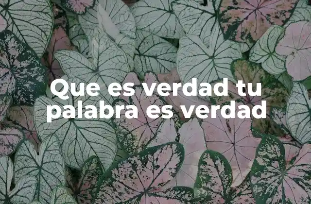 Que es Verdad Tu Palabra es Verdad