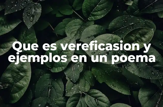 La importancia de comprobar ideas en la poesía