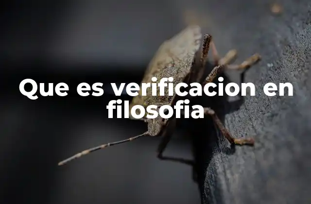 Que es Verificacion en Filosofia