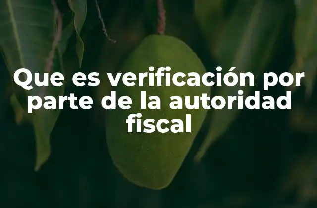 Que es Verificación por Parte de la Autoridad Fiscal