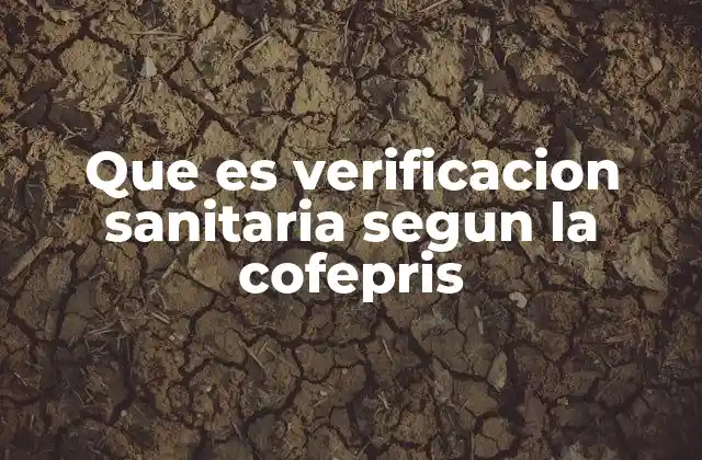 Que es Verificacion Sanitaria Segun la Cofepris