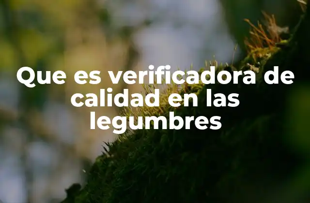 Que es Verificadora de Calidad en las Legumbres