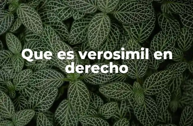 Que es Verosimil en Derecho