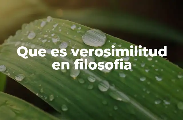Que es Verosimilitud en Filosofia
