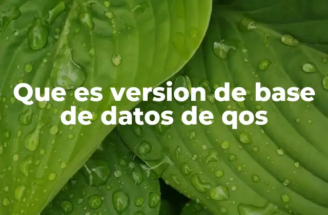 Que es Version de Base de Datos de Qos