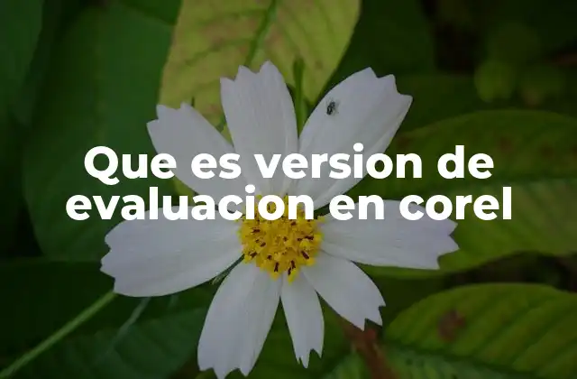 Que es Version de Evaluacion en Corel
