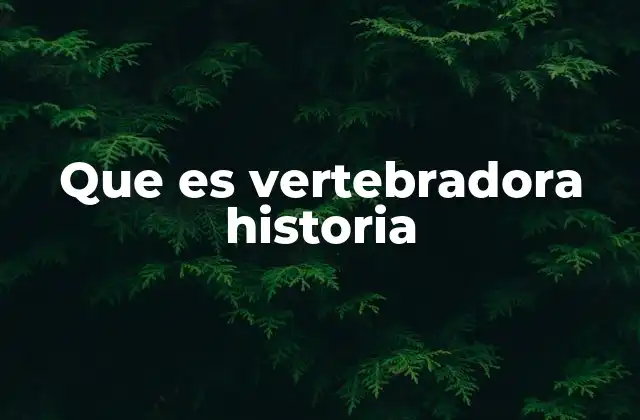 Que es Vertebradora Historia