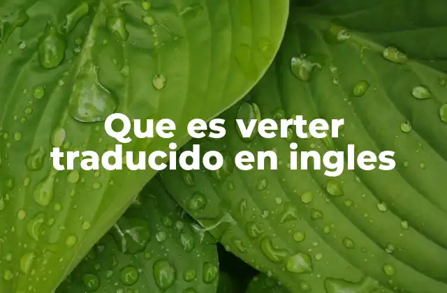 Que es Verter Traducido en Ingles