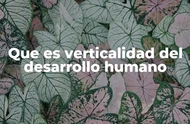 Que es Verticalidad Del Desarrollo Humano