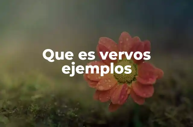 Que es Vervos Ejemplos