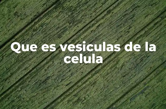 Que es Vesiculas de la Celula