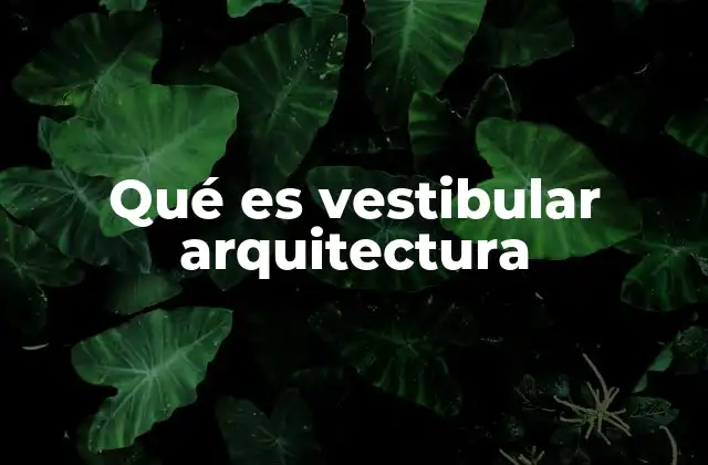 Qué es Vestibular Arquitectura