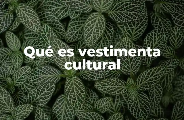 Qué es Vestimenta Cultural