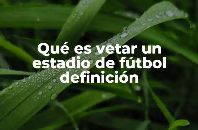 Qué es Vetar un Estadio de Fútbol Definición