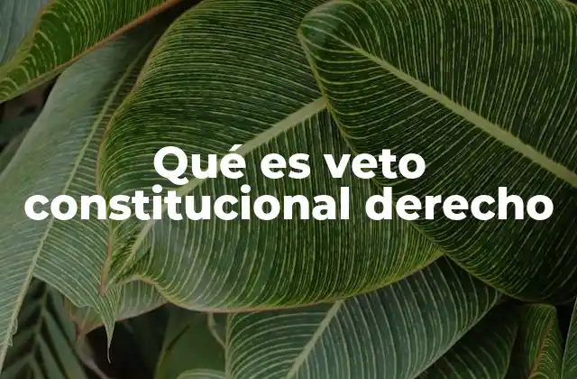 Qué es Veto Constitucional Derecho