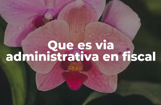 Que es Via Administrativa en Fiscal