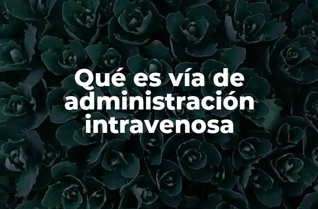 Qué es Vía de Administración Intravenosa