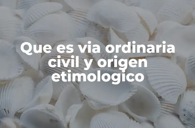 Que es Via Ordinaria Civil y Origen Etimologico