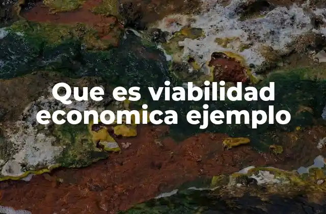 Cómo se evalúa la viabilidad de un proyecto económico