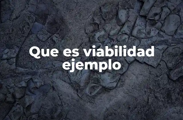 Que es Viabilidad Ejemplo