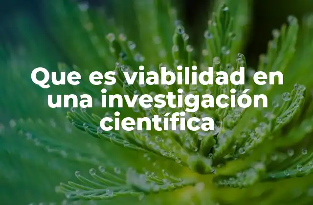 Que es Viabilidad en una Investigación Científica
