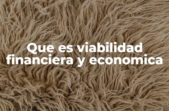 Que es Viabilidad Financiera y Economica