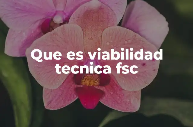 Que es Viabilidad Tecnica Fsc