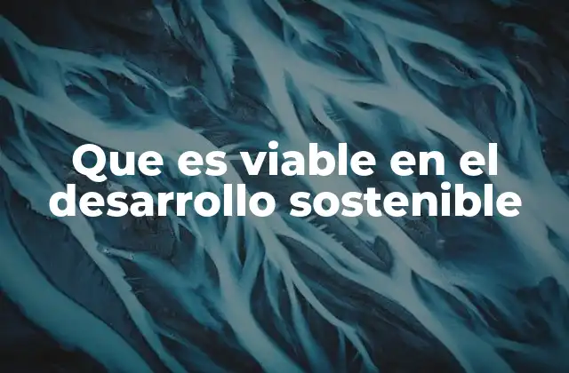 Que es Viable en el Desarrollo Sostenible