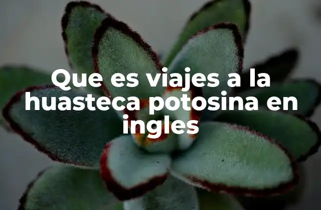Descubriendo la Huasteca Potosina a través de la lengua inglesa