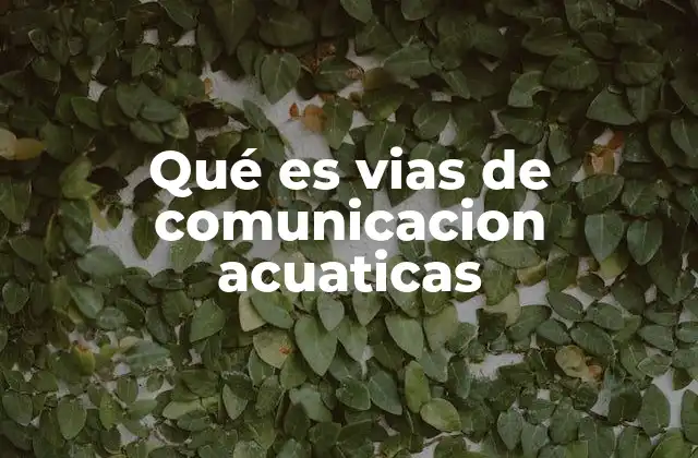 Qué es Vias de Comunicacion Acuaticas