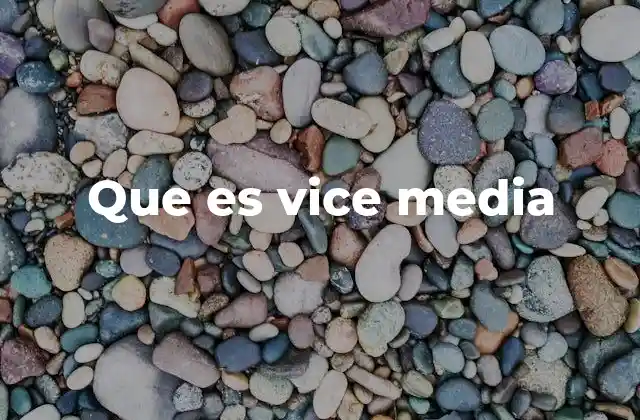 Que es Vice Media