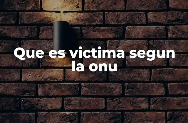 Que es Victima Segun la Onu