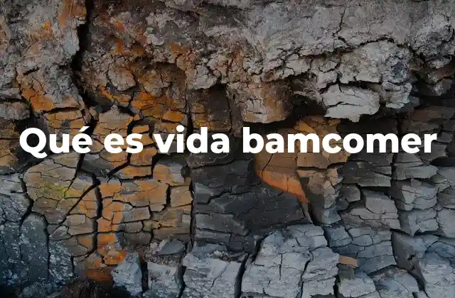 El crecimiento del movimiento de vida bamcomer